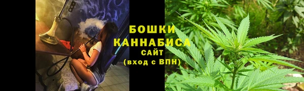 ALPHA PVP Богородицк
