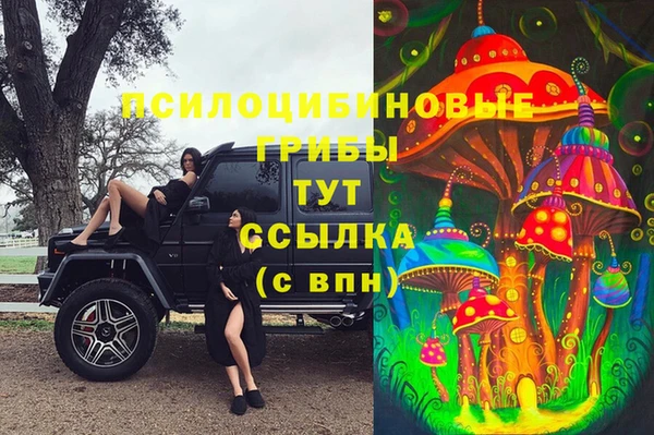 ALPHA PVP Богородицк