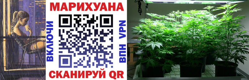 где можно купить   Надым  Марихуана индика 
